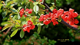 IMG_8253.JPG