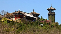 IMG_8255.JPG