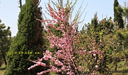 IMG_8271.JPG