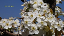 IMG_8279.JPG