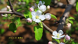 IMG_8281.JPG