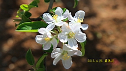 IMG_8284.JPG