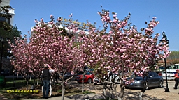 IMG_8286.JPG