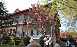 IMG_8318.JPG