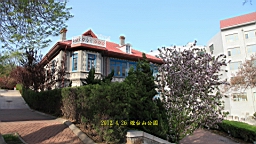 IMG_8319.JPG