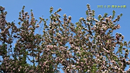 IMG_8321.JPG