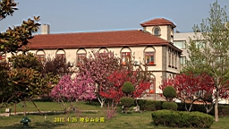 IMG_8323.JPG