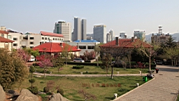 IMG_8324.JPG