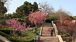 IMG_8325.JPG