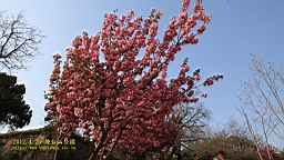 IMG_8329.JPG