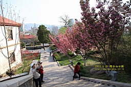 IMG_8330.JPG