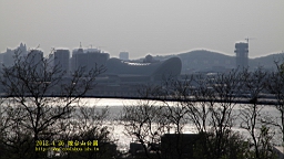 IMG_8338.JPG