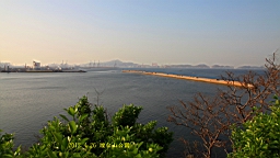 IMG_8346.JPG
