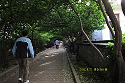 IMG_8353.JPG