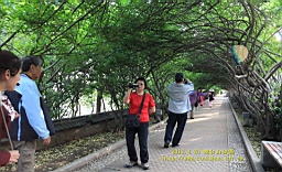IMG_8354.JPG