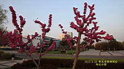 IMG_8367.JPG