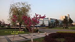 IMG_8368.JPG