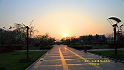 IMG_8373.JPG