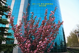 IMG_8375.JPG