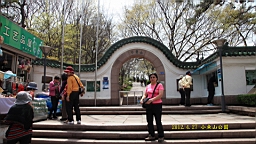 IMG_8377.JPG