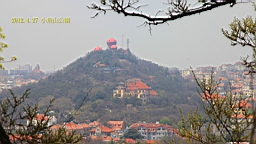 IMG_8380.JPG