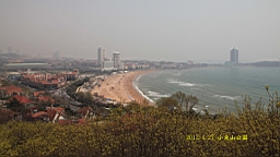 IMG_8382.JPG