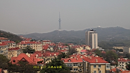 IMG_8384.JPG