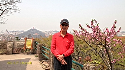 IMG_8392.JPG