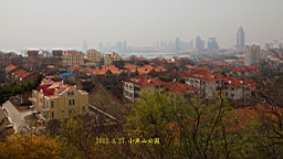 IMG_8398.JPG