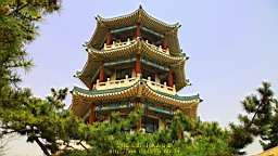 IMG_8401.JPG