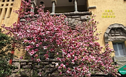 IMG_8403.JPG