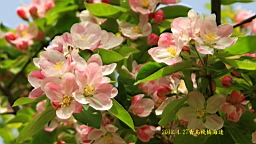 IMG_8426.JPG