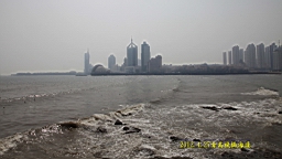IMG_8431.JPG