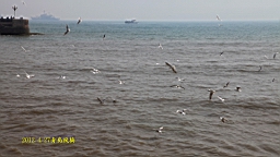 IMG_8433.JPG