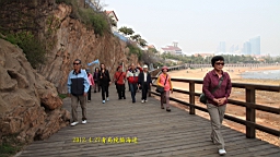 IMG_8446.JPG