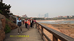 IMG_8447.JPG