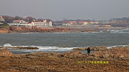 IMG_8448.JPG