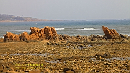 IMG_8450.JPG