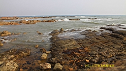 IMG_8455.JPG