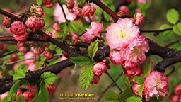 IMG_8459.JPG