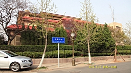 IMG_8463.JPG