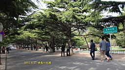 IMG_8464.JPG