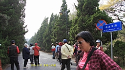 IMG_8465.JPG