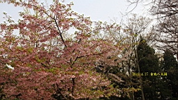 IMG_8466.JPG