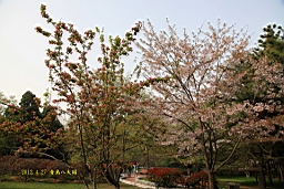 IMG_8470.JPG