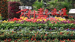 IMG_8473.JPG