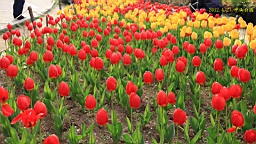 IMG_8475.JPG