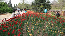 IMG_8476.JPG