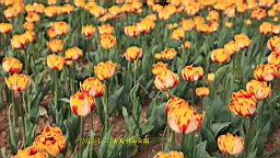 IMG_8477.JPG