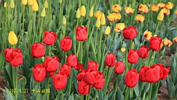 IMG_8479.JPG